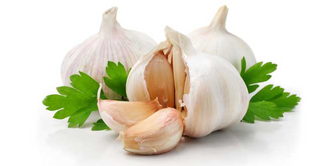 garlic-testosterone