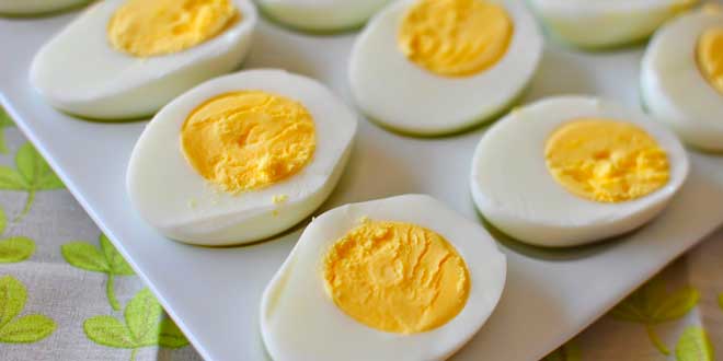 eggs-testosterone