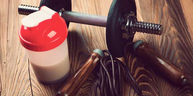 Protein Shakes for everyone