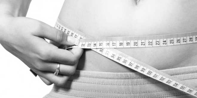 Protein Shakes to Lose Weight