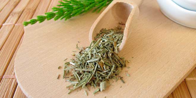 Horsetail as a Natural Remedy