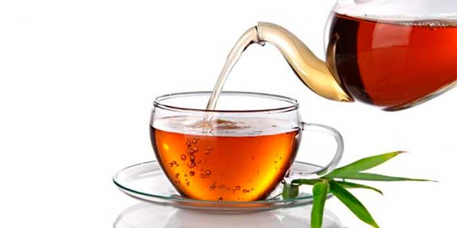 Horsetail Infusion