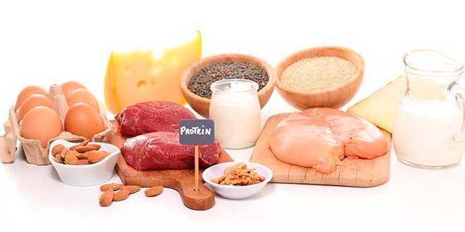Sources of Proteins