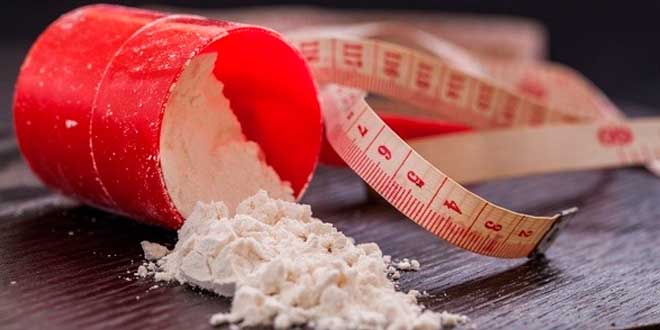 Protein Shakes