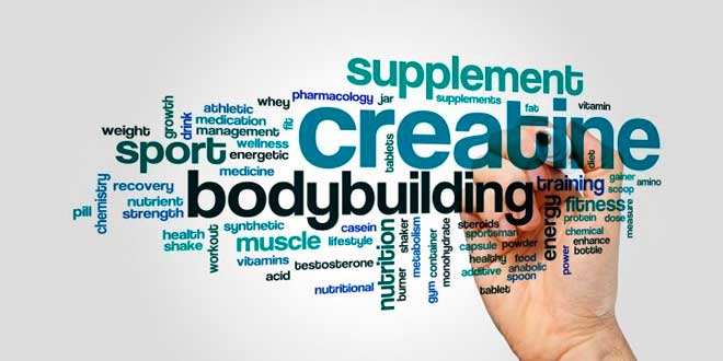 What is Creatine Ethyl Ester? What is Creatine Ethyl Ester?