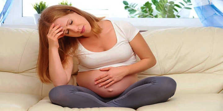 Pregnancy and Damiana