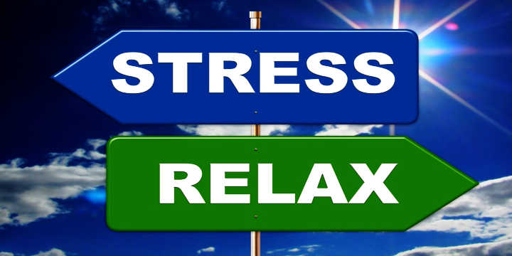 Damiana and Stress