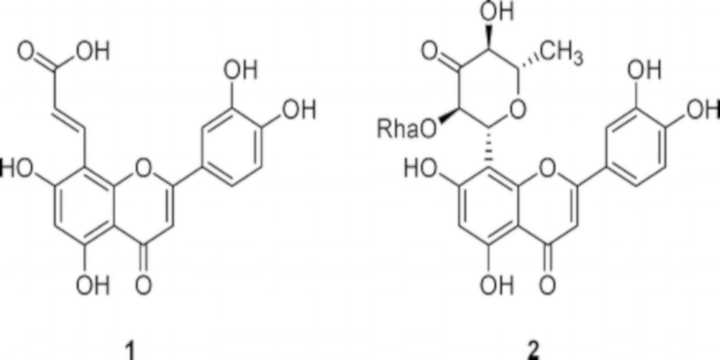 Damiana Properties