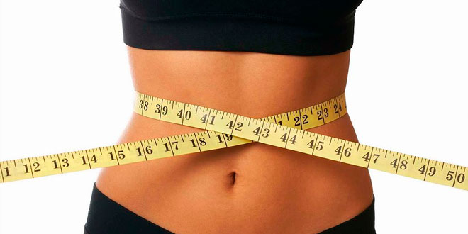 L-carnitine: Energy and Vitality to do Sports
