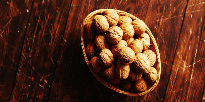 Walnuts bones