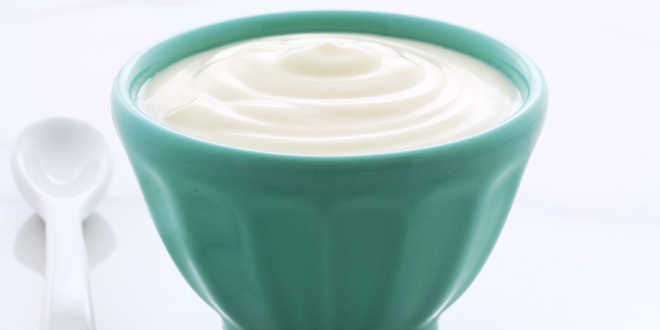 Yoghurt bones benefits