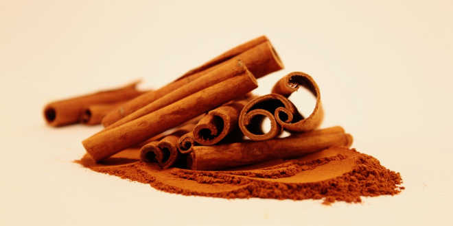 Cinnamon formats