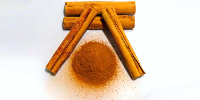 Types of cinnamon