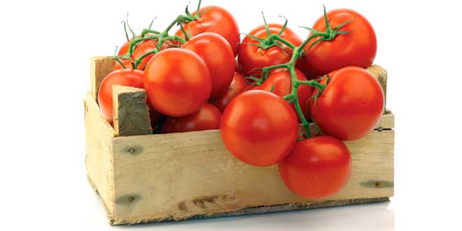 Box of tomatoes Box of tomatoes