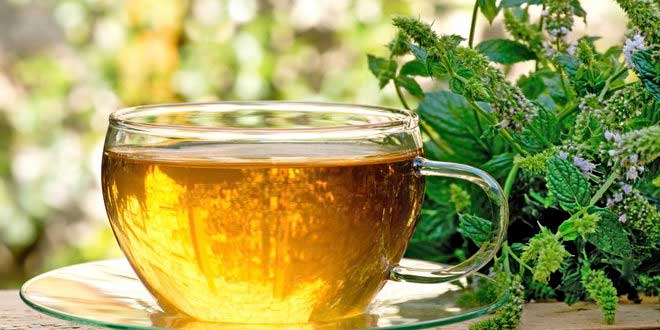 Infusions and other herbs