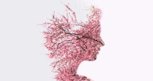 The Best Herbs for Memory