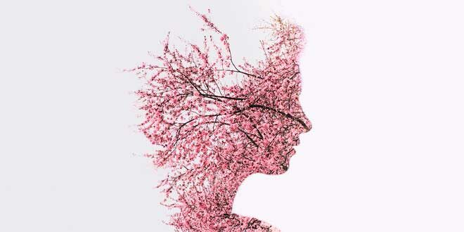 The Best Herbs for Memory