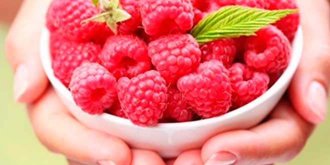 Raspberry Ketones – Stimulating the basal metabolism to lose weight
