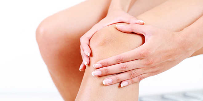 Fucus supports the joints