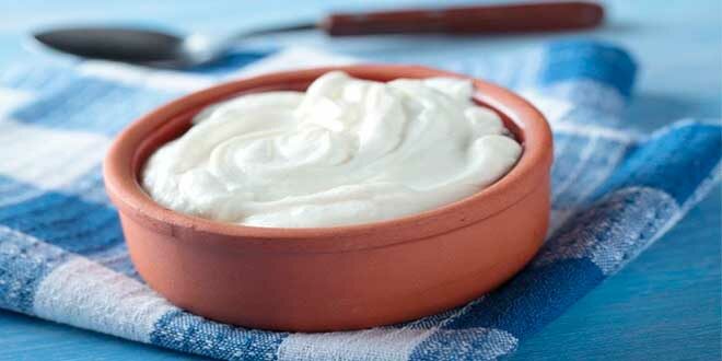 Yogurt: a great Support for your Immune System Yogurt: a great Support for your Immune System
