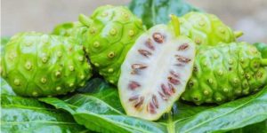 Noni fruit cut in half