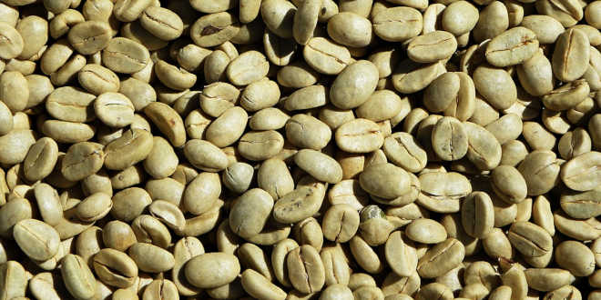 Benefits of green coffee beans
