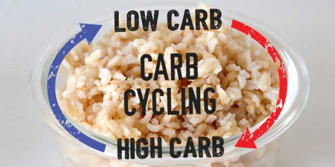 Calorie cycle
