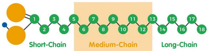 Fatty acid Fatty acid