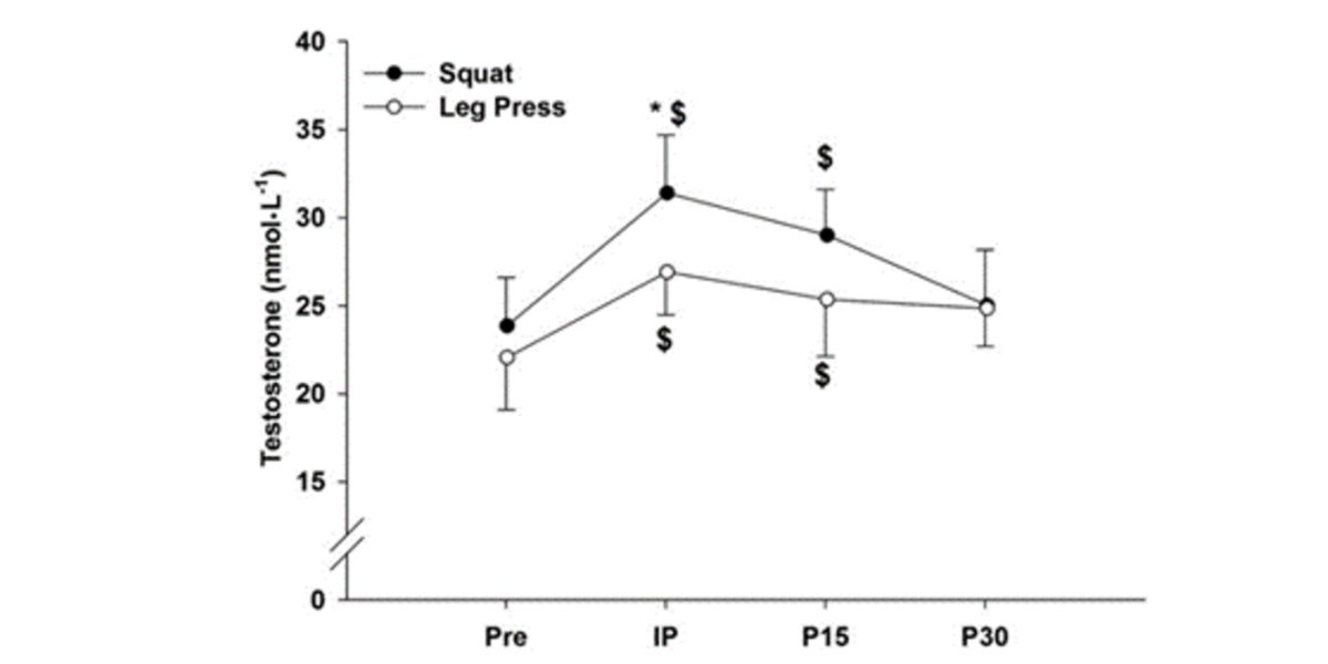 Testosterone graphic