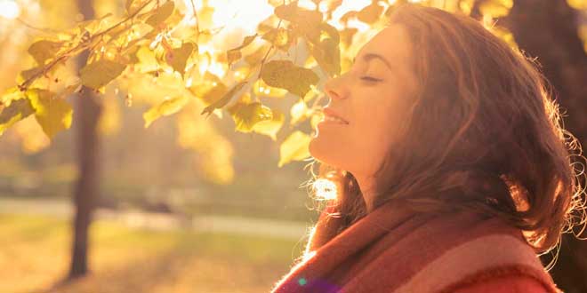 Benefits adaptogenic plants Benefits adaptogenic plants