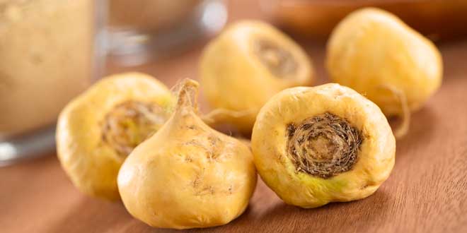 Maca Maca