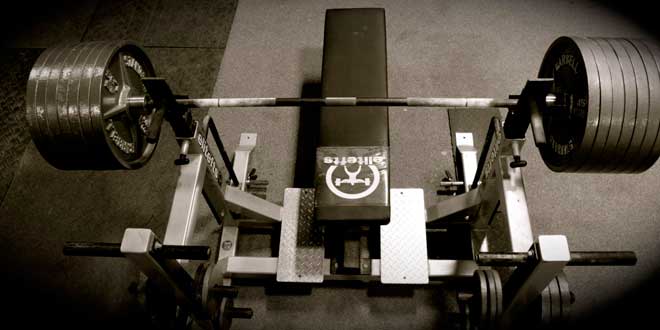 Principles ensuring adaptation