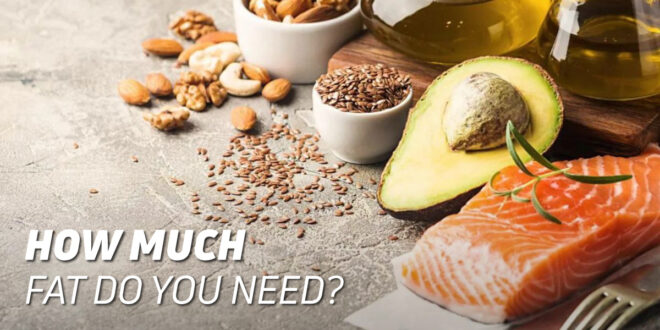 How much fat do you need?