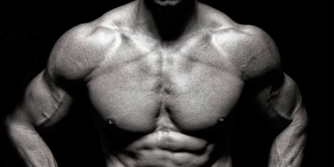 Muscle growth and physical definition Muscle growth and physical definition
