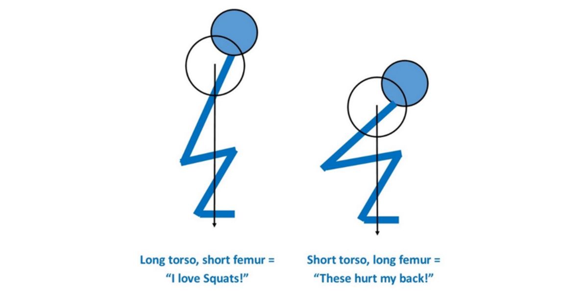 Femur