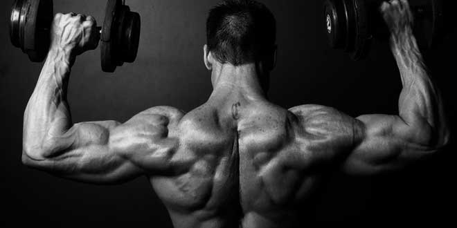 Performance and Intra Workout Supplementation