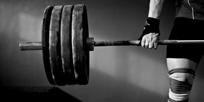 Intra workout protocol