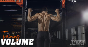 Training volume diet