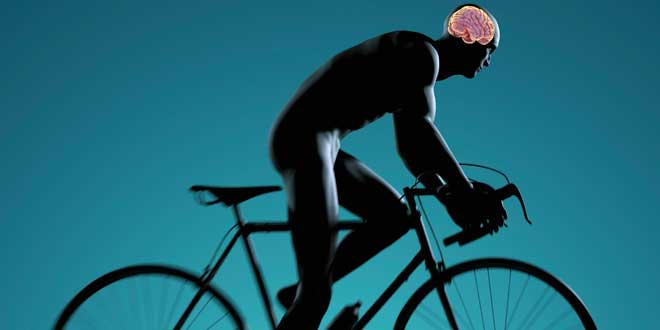 Man cycling and cognition Man cycling and cognition