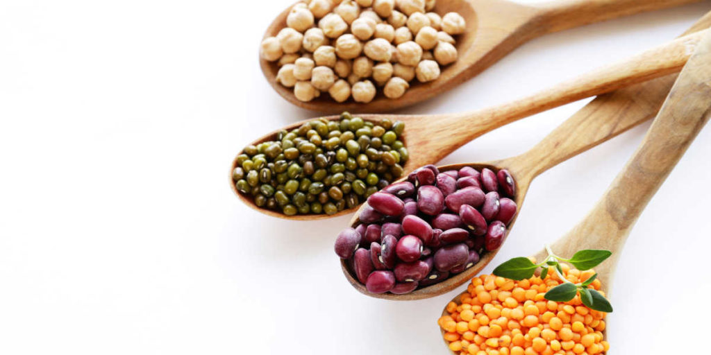 Protein Sources Their Pros and Cons【2024 】HSN