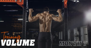 Training volume month 7