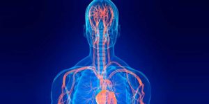 Benefits of Arginine