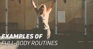 Examples of Full Body Routines