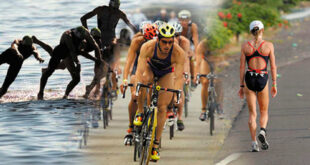 Triathlon basic suplements