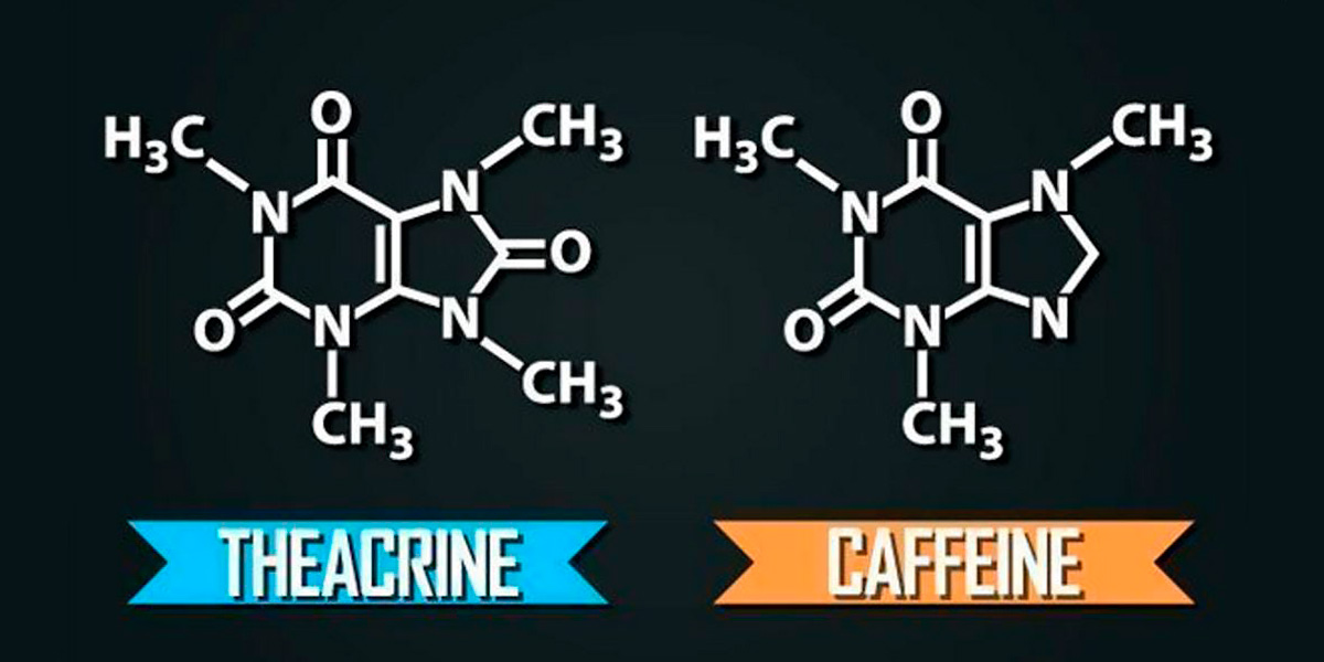▷ Theacrine: What is it, and what are the Properties of this New Caffeine? 【2025 】