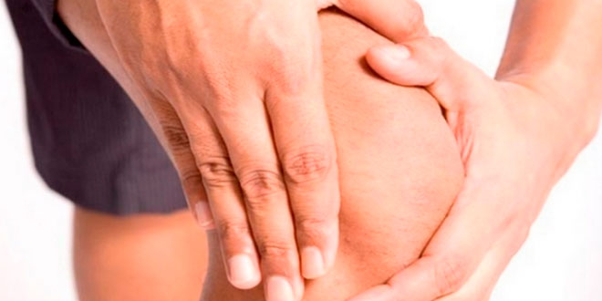 Supplements for joints