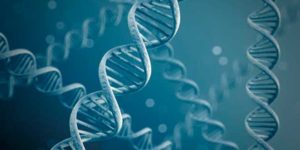 Protein Classification