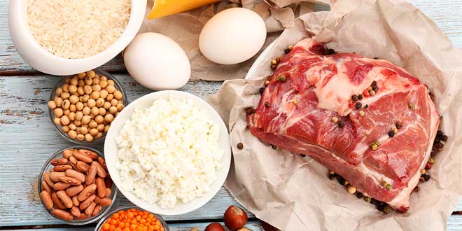 Protein sources