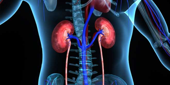 Renal disease