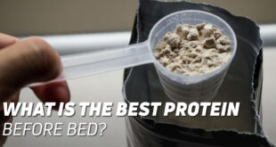 The best protein before bed